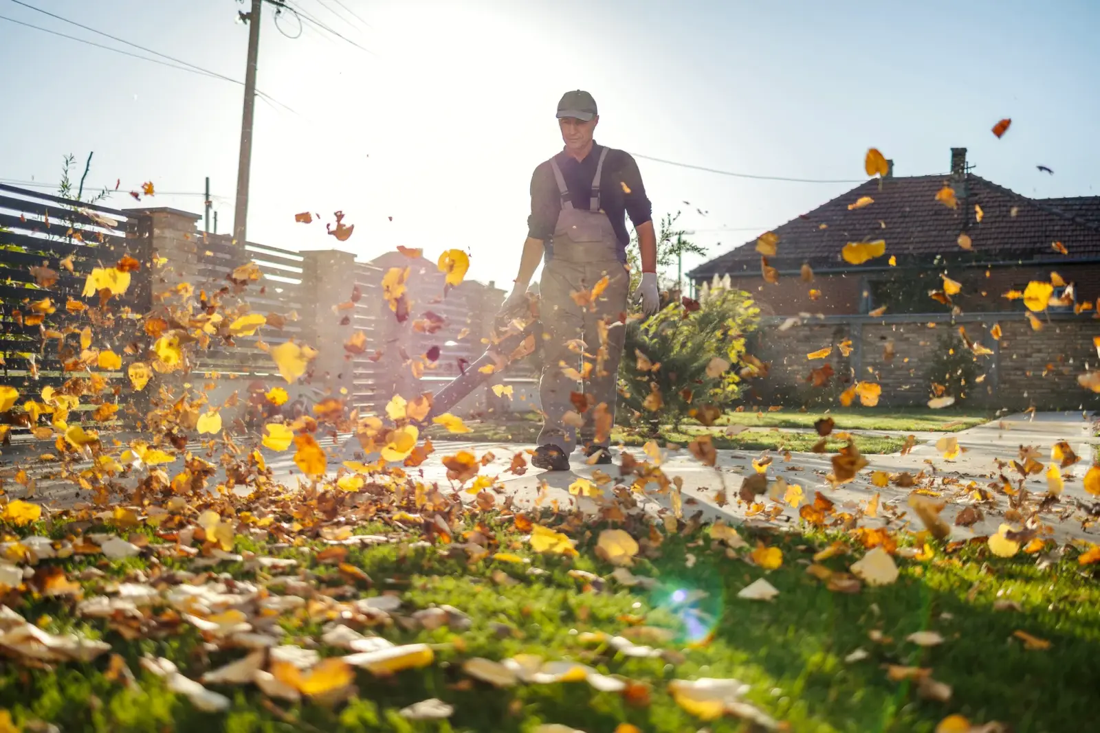 Professional landscaper at work